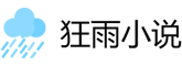 狂雨小说